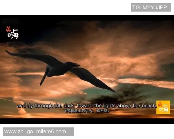 深度对话王伟谈网球人生与职业生涯的挑战与成长 深度对话王伟谈网球人生与职业生涯的挑战与成长