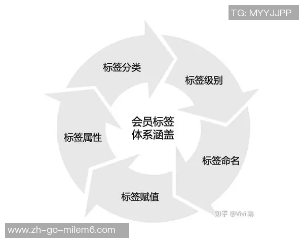 重庆排球队的战术创新与运营体系解析探讨